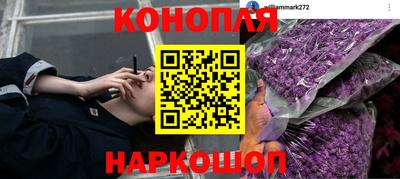 эйфоретик Бузулук